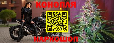 стафф Пугачёв