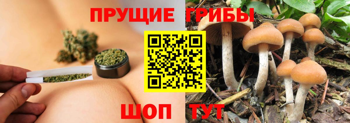 Галлюциногенные грибы мухоморы Ростов-на-Дону